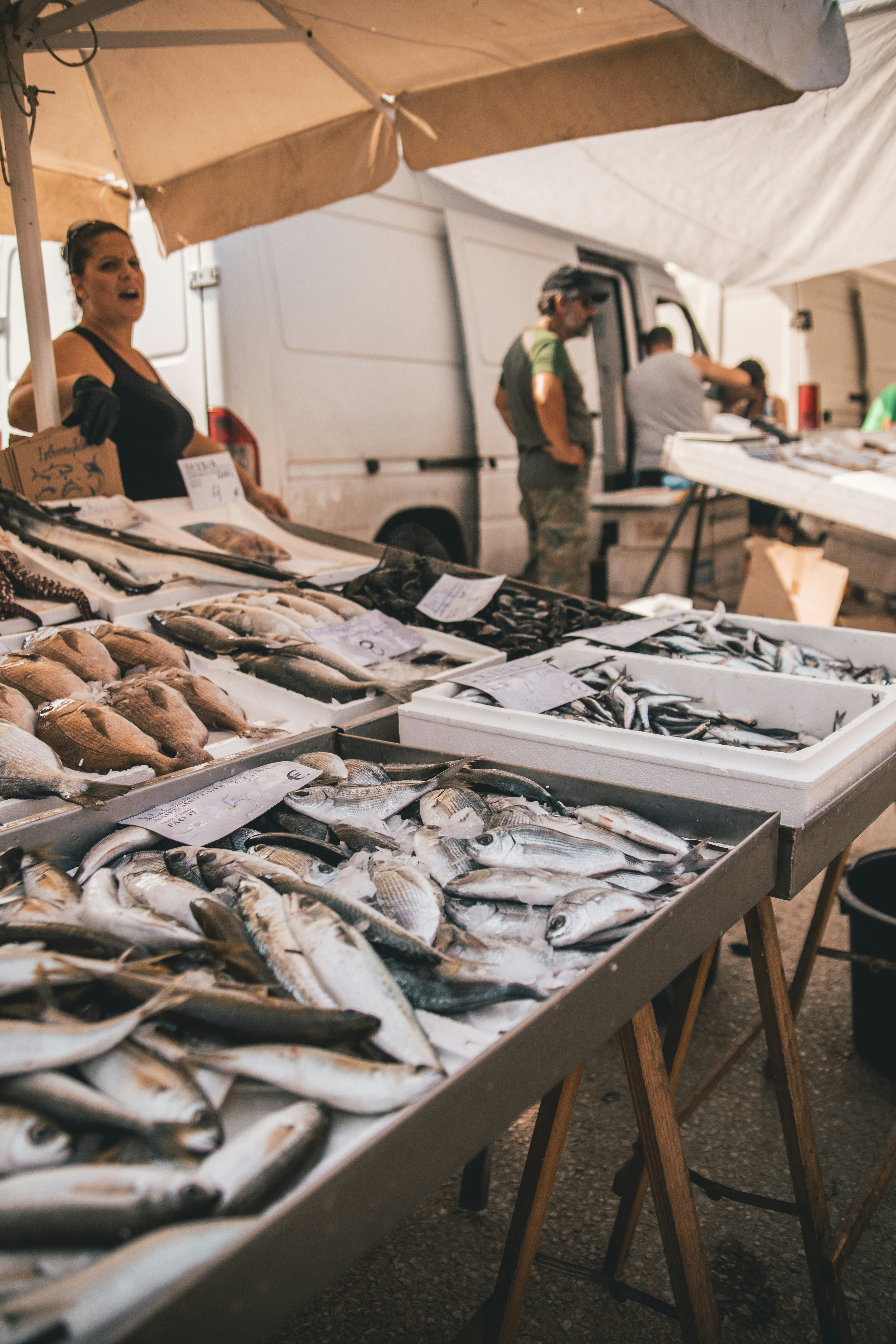 Fish Market