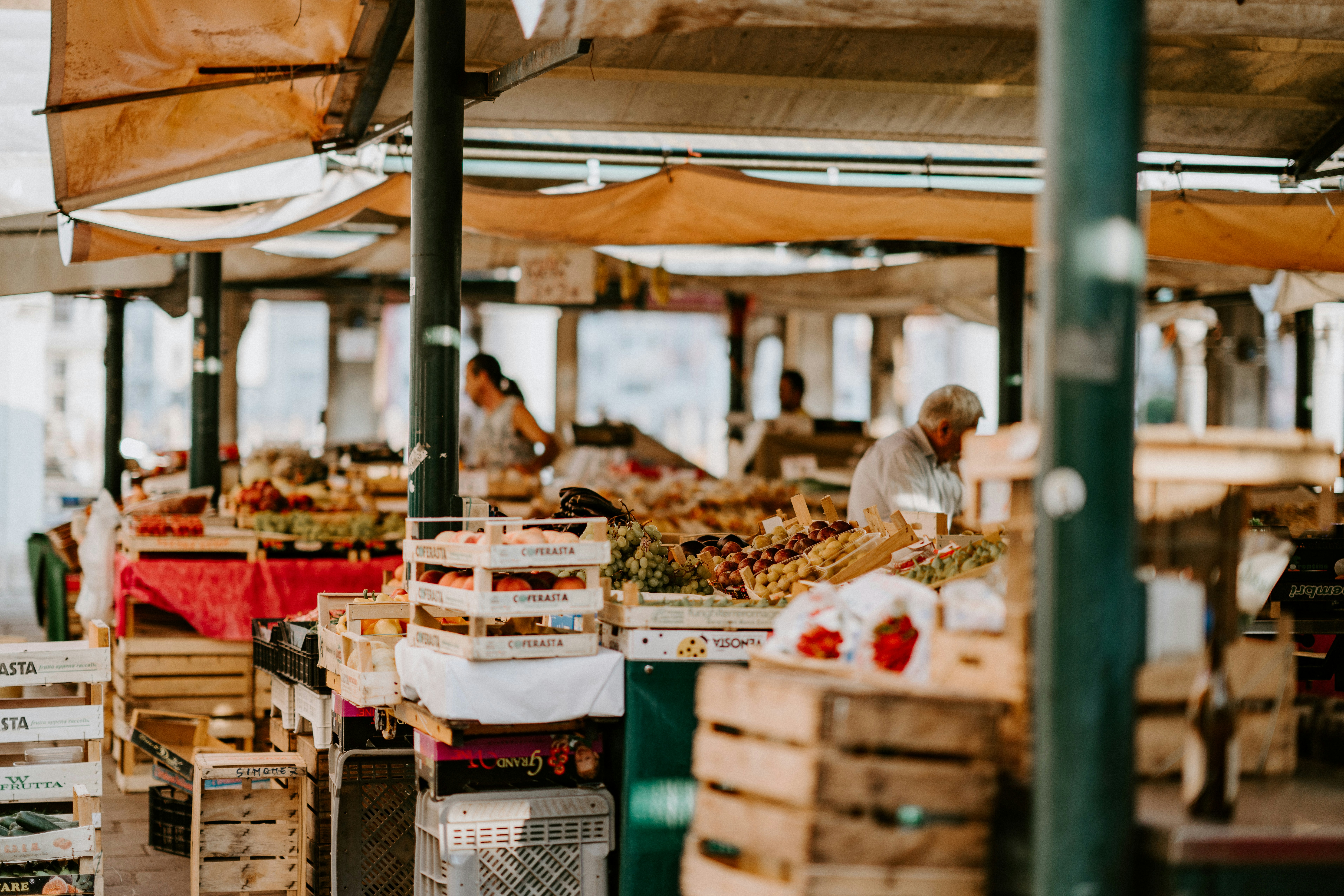 Strawberry Farm